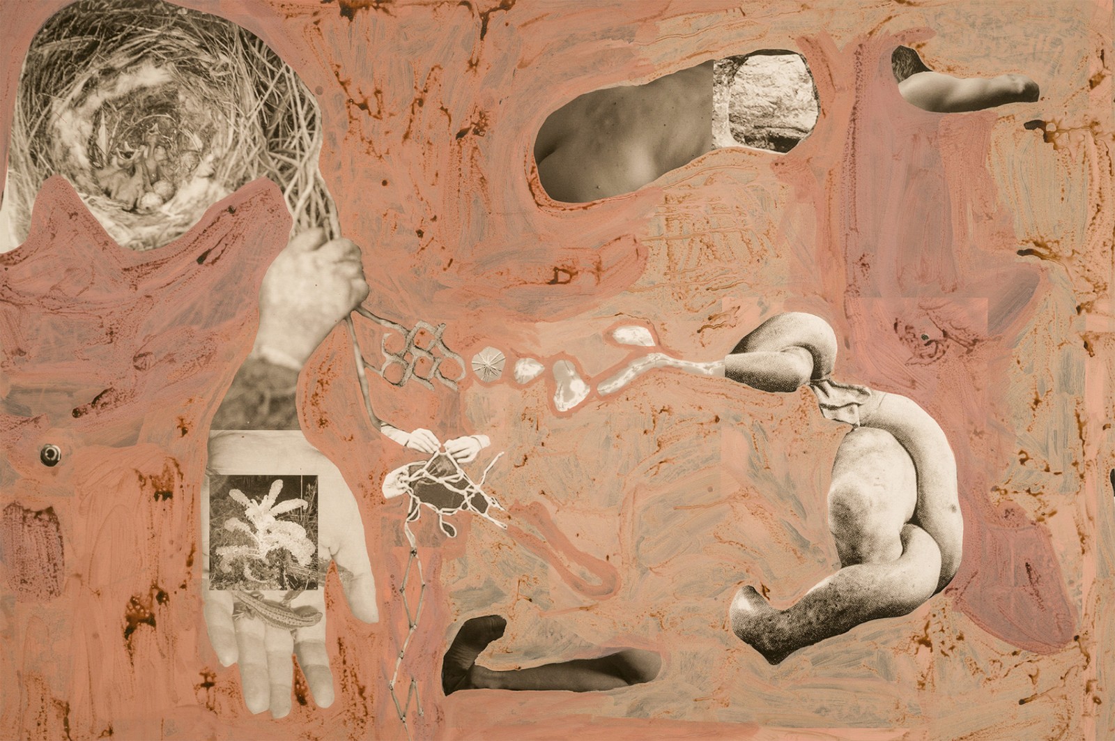 圖十二、《地勢 (關(guān)于時間，關(guān)于身體)》 (細節(jié)圖)，O?zlem Alt?n，2019